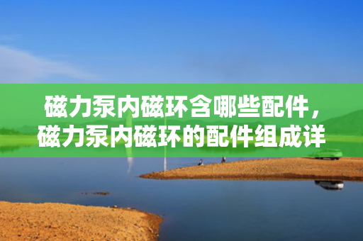 磁力泵内磁环含哪些配件，磁力泵内磁环的配件组成详解