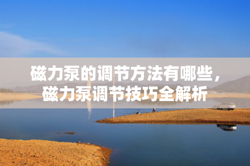 磁力泵的调节方法有哪些，磁力泵调节技巧全解析