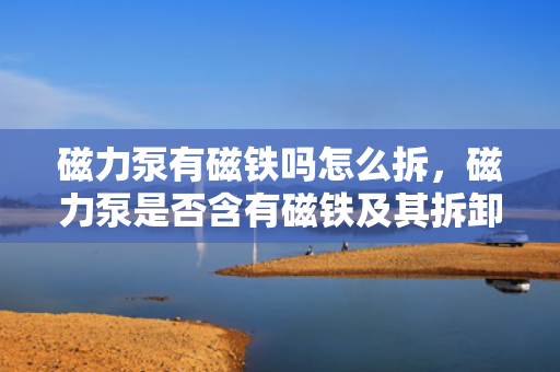 磁力泵有磁铁吗怎么拆，磁力泵是否含有磁铁及其拆卸方法解析