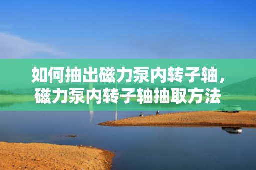 如何抽出磁力泵内转子轴，磁力泵内转子轴抽取方法