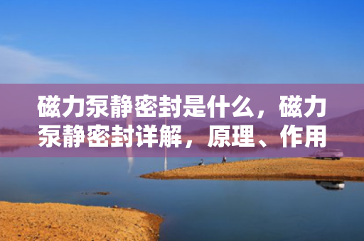磁力泵静密封是什么，磁力泵静密封详解，原理、作用及应用领域