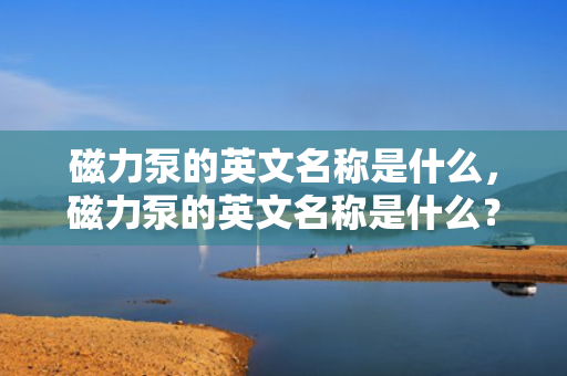 磁力泵的英文名称是什么，磁力泵的英文名称是什么？