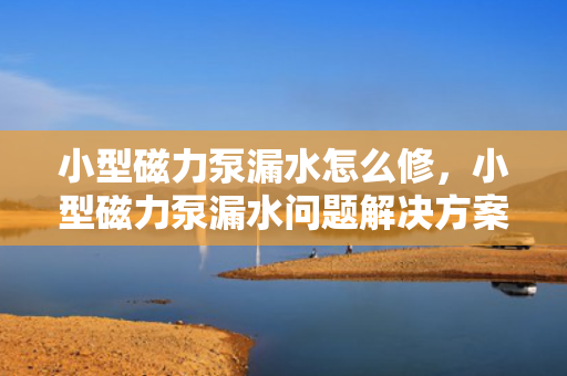 小型磁力泵漏水怎么修，小型磁力泵漏水问题解决方案