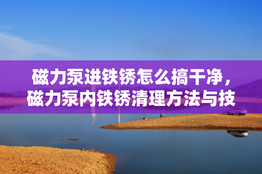磁力泵进铁锈怎么搞干净，磁力泵内铁锈清理方法与技巧