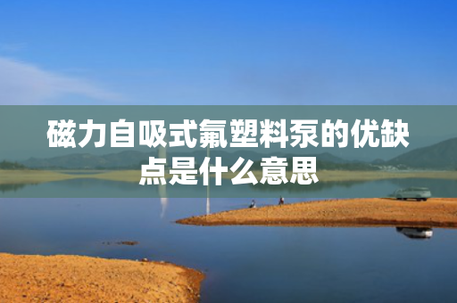 磁力自吸式氟塑料泵的优缺点是什么意思