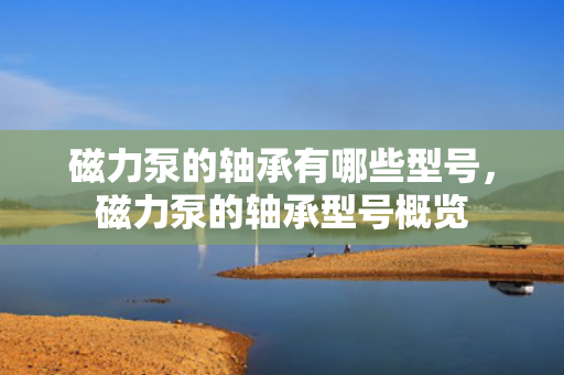 磁力泵的轴承有哪些型号，磁力泵的轴承型号概览