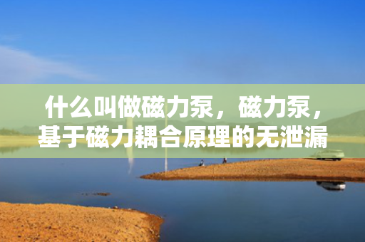 什么叫做磁力泵，磁力泵，基于磁力耦合原理的无泄漏离心泵