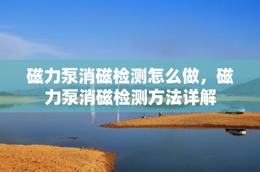磁力泵消磁检测怎么做，磁力泵消磁检测方法详解
