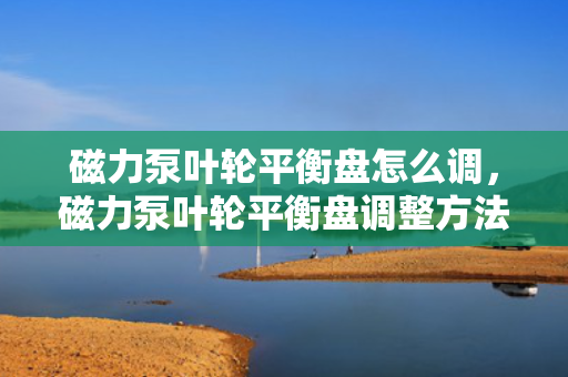 磁力泵叶轮平衡盘怎么调，磁力泵叶轮平衡盘调整方法