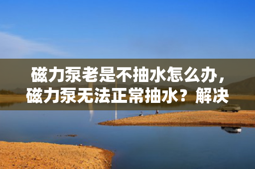 磁力泵老是不抽水怎么办，磁力泵无法正常抽水？解决方法一览！