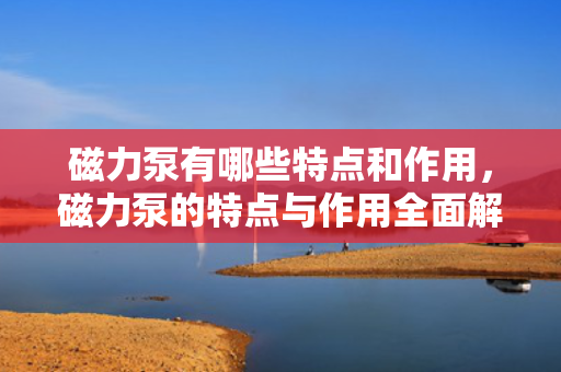 磁力泵有哪些特点和作用，磁力泵的特点与作用全面解析