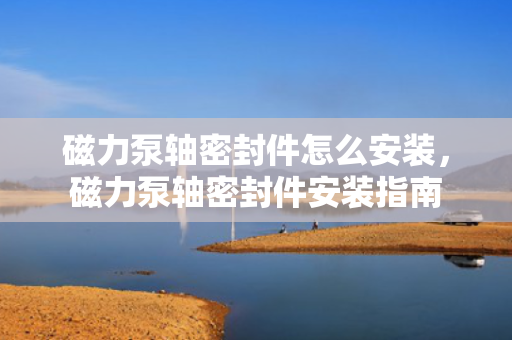 磁力泵轴密封件怎么安装，磁力泵轴密封件安装指南