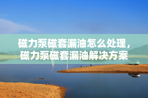 磁力泵磁套漏油怎么处理，磁力泵磁套漏油解决方案