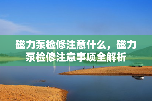 磁力泵检修注意什么，磁力泵检修注意事项全解析