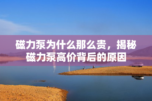 磁力泵为什么那么贵，揭秘磁力泵高价背后的原因