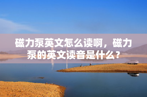 磁力泵英文怎么读啊，磁力泵的英文读音是什么？