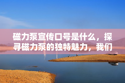 磁力泵宣传口号是什么，探寻磁力泵的独特魅力，我们的宣传口号揭晓！