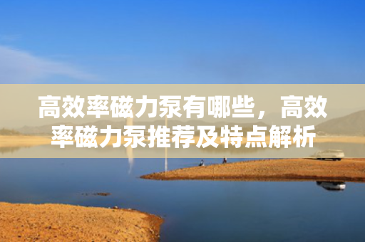 高效率磁力泵有哪些，高效率磁力泵推荐及特点解析