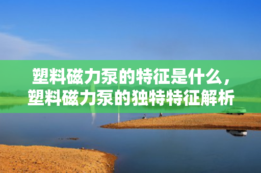 塑料磁力泵的特征是什么，塑料磁力泵的独特特征解析