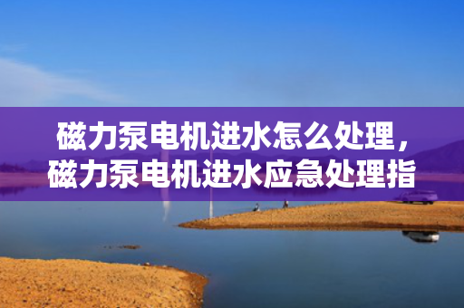 磁力泵电机进水怎么处理，磁力泵电机进水应急处理指南