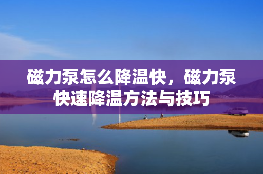 磁力泵怎么降温快，磁力泵快速降温方法与技巧