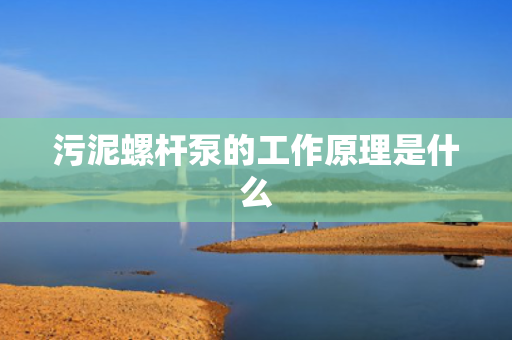 污泥螺杆泵的工作原理是什么