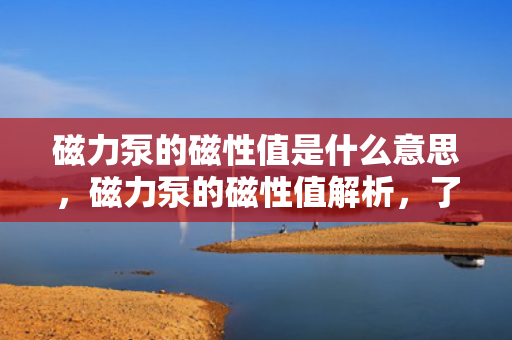 磁力泵的磁性值是什么意思，磁力泵的磁性值解析，了解这一关键参数的含义