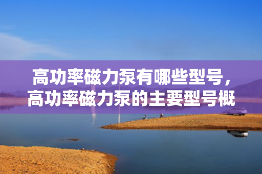高功率磁力泵有哪些型号，高功率磁力泵的主要型号概览