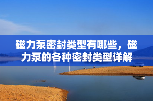 磁力泵密封类型有哪些，磁力泵的各种密封类型详解
