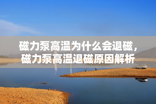 磁力泵高温为什么会退磁，磁力泵高温退磁原因解析
