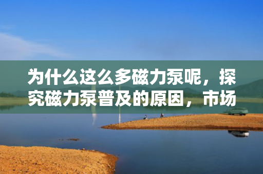 为什么这么多磁力泵呢，探究磁力泵普及的原因，市场需求与技术进步的双重驱动