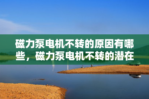 磁力泵电机不转的原因有哪些，磁力泵电机不转的潜在原因分析