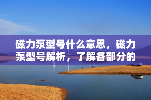 磁力泵型号什么意思，磁力泵型号解析，了解各部分的含义