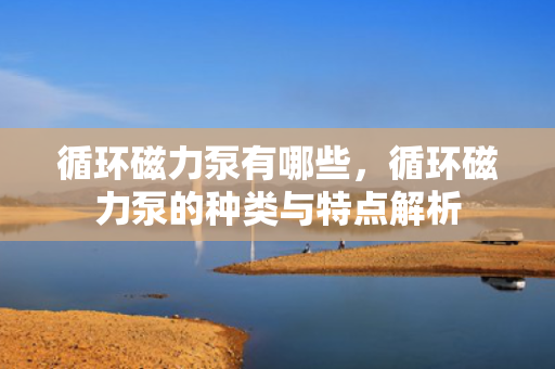循环磁力泵有哪些，循环磁力泵的种类与特点解析