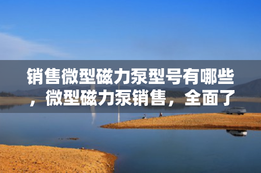 销售微型磁力泵型号有哪些，微型磁力泵销售，全面了解各型号选择