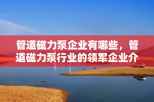 管道磁力泵企业有哪些，管道磁力泵行业的领军企业介绍