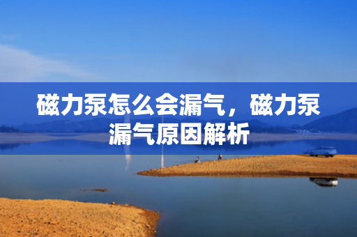 磁力泵怎么会漏气，磁力泵漏气原因解析