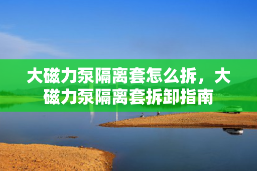 大磁力泵隔离套怎么拆，大磁力泵隔离套拆卸指南