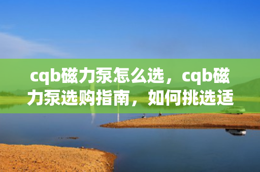 cqb磁力泵怎么选，cqb磁力泵选购指南，如何挑选适合的磁力泵