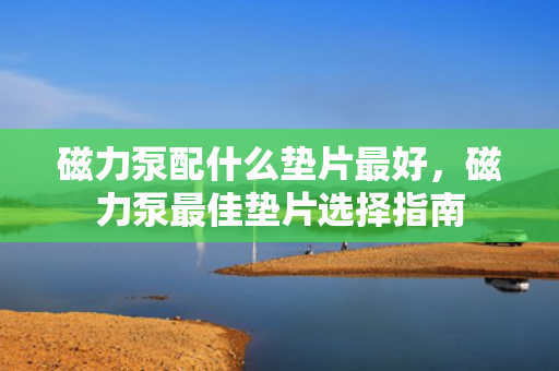 磁力泵配什么垫片最好，磁力泵最佳垫片选择指南