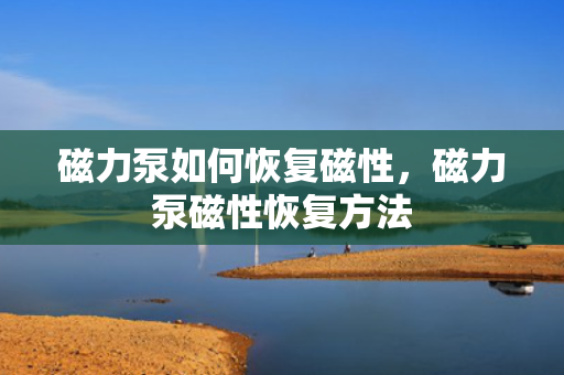 磁力泵如何恢复磁性，磁力泵磁性恢复方法