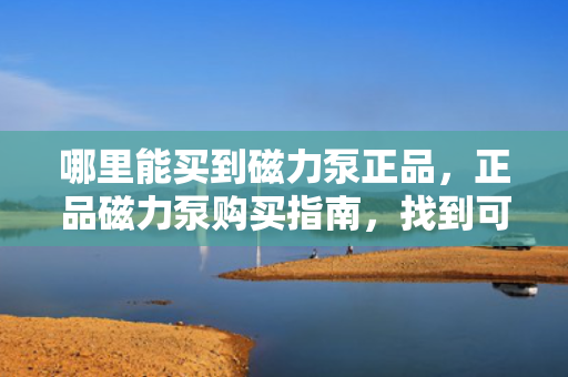 哪里能买到磁力泵正品，正品磁力泵购买指南，找到可靠的购买渠道