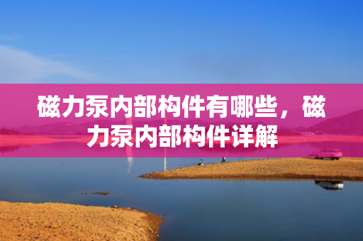 磁力泵内部构件有哪些，磁力泵内部构件详解