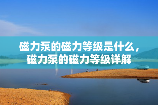 磁力泵的磁力等级是什么，磁力泵的磁力等级详解