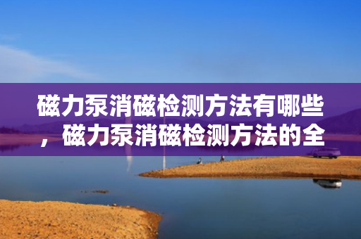 磁力泵消磁检测方法有哪些，磁力泵消磁检测方法的全面解析