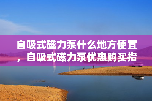 自吸式磁力泵什么地方便宜，自吸式磁力泵优惠购买指南，寻找性价比高的购买地点