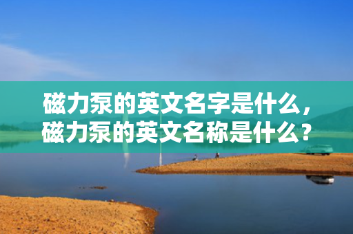 磁力泵的英文名字是什么，磁力泵的英文名称是什么？