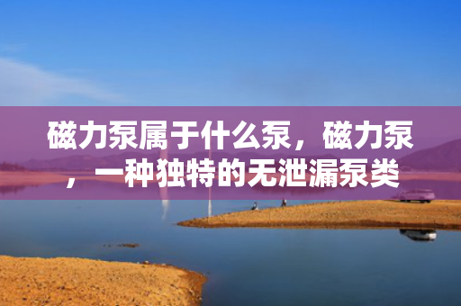 磁力泵属于什么泵，磁力泵，一种独特的无泄漏泵类