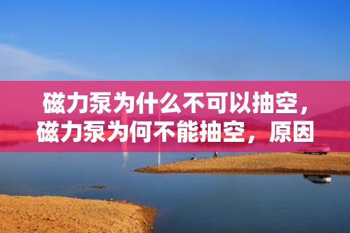 磁力泵为什么不可以抽空，磁力泵为何不能抽空，原因探究与解析