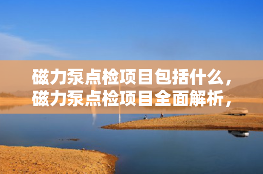 磁力泵点检项目包括什么，磁力泵点检项目全面解析，确保设备高效稳定运行的关键步骤